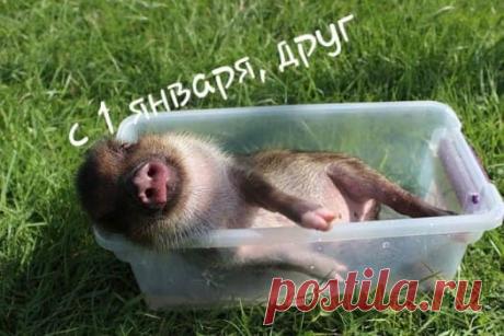 Как Отдыхаем В 2019 Году (Календарь Праздников) | Всё о детях и семье