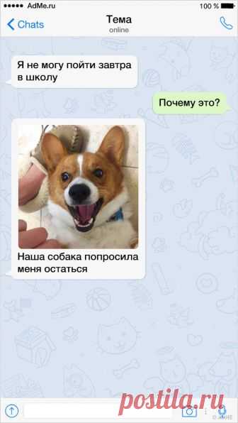 17 отговорок детей, на которые возразить-то нечего