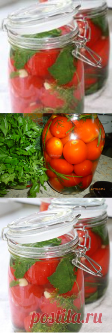 Рецепт острых консервированных помидоров на зиму - Помидоры на зиму от 1001 ЕДА