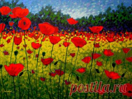 300zx - Art II - ^ Poppy Field - John Nolan