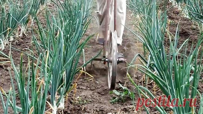 Приспособление для быстрой прополки огорода Сорняки это просто настоящая беда для любого дачника и огородника. Пропалывать грядки вручную очень кропотливо и муторно. Если применить немного смекалки и ненужного хлама из запасников домашней мастерской, можно сделать отличное приспособление для прополки грядок - этакий ручной культиватор.