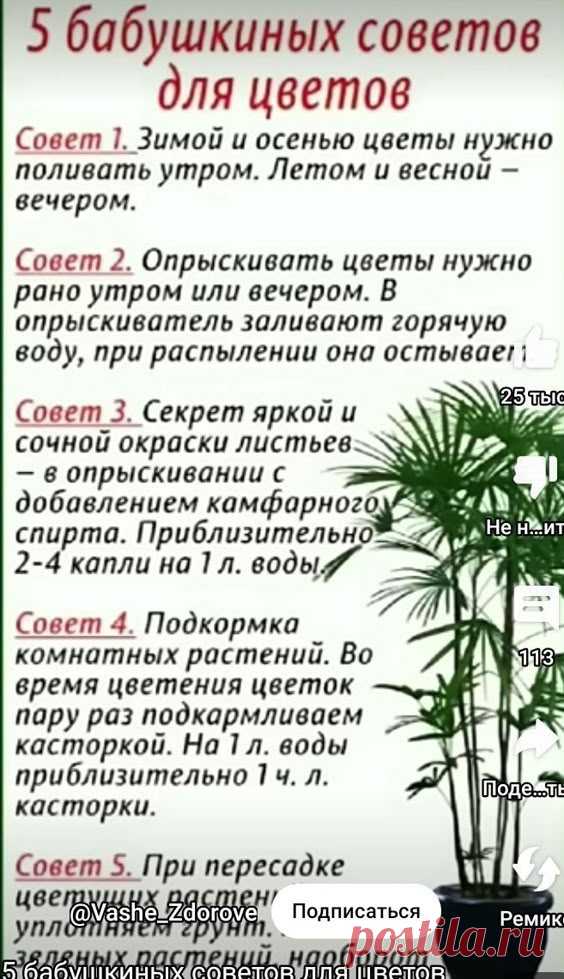 Pin page