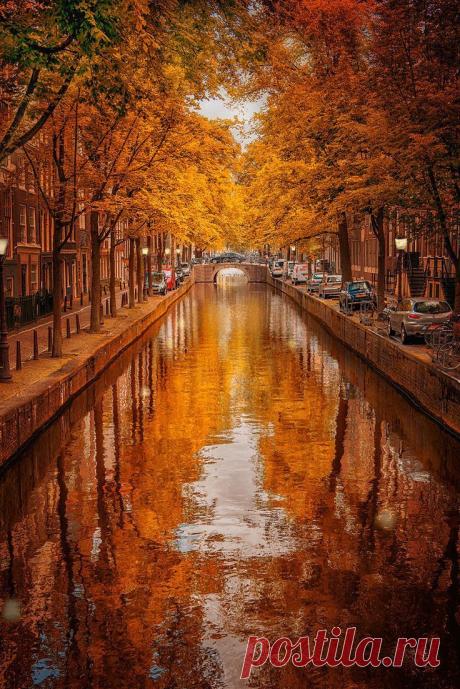 autumn in amsterdam beautiful amazing - Beautiful Pictures Amazing