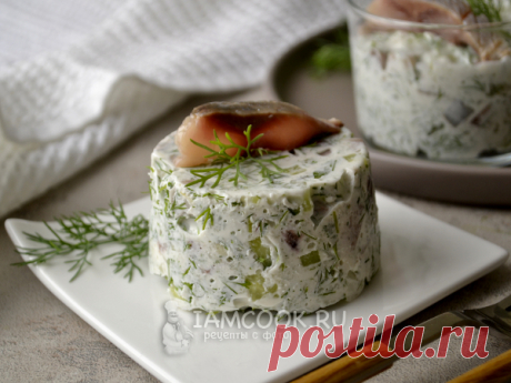 Холодная закуска из рубленой соленой сельди, свежего огурца и укропа в сметанном желе.