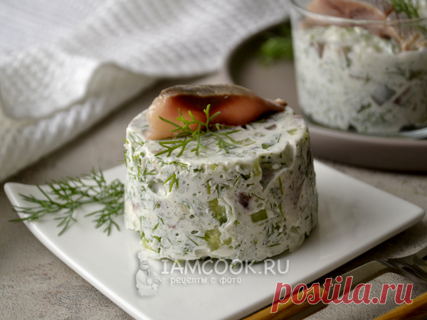 Холодная закуска из рубленой соленой сельди, свежего огурца и укропа в сметанном желе.