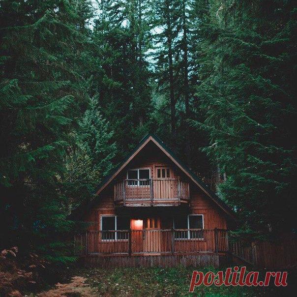 Один человек, практикующий доброту в глуши, стоит всех храмов, воздвигнутых этим миром. 
(Джек Керуак)