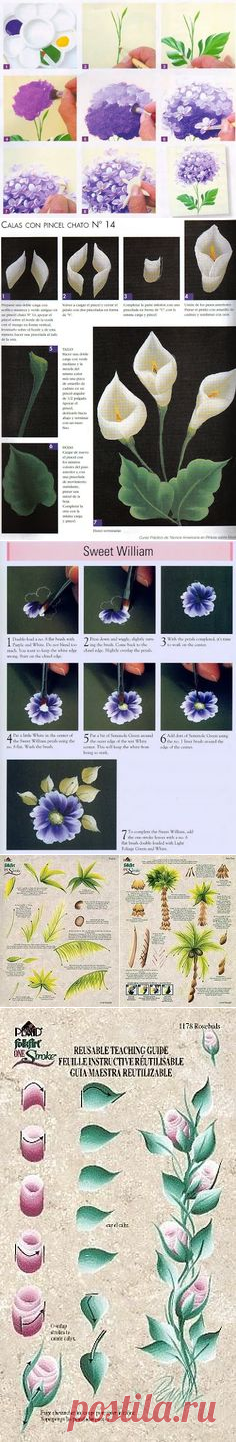 (116) One Stroke - senia One Stroke - Picasa Web Albums | One stroke painting