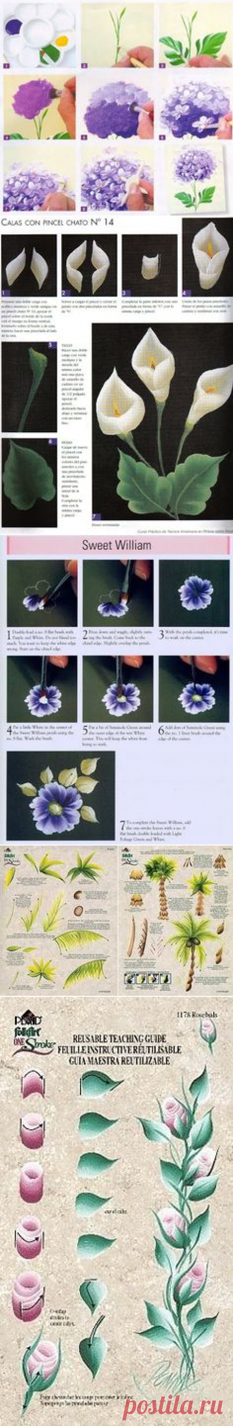 (116) One Stroke - senia One Stroke - Picasa Web Albums | One stroke painting