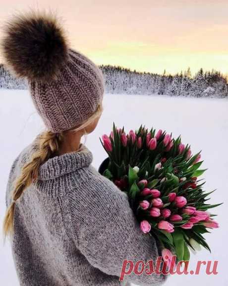 Беседка – Google+ н-м
