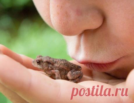 Сода от грибка ногтей на ногах: лучшие рецепты с пищевой содой и уксусом для лечения онихомикоза