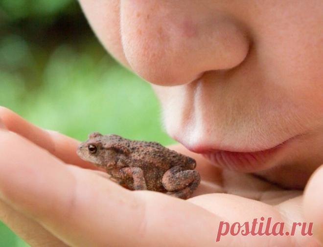 Сода от грибка ногтей на ногах: лучшие рецепты с пищевой содой и уксусом для лечения онихомикоза