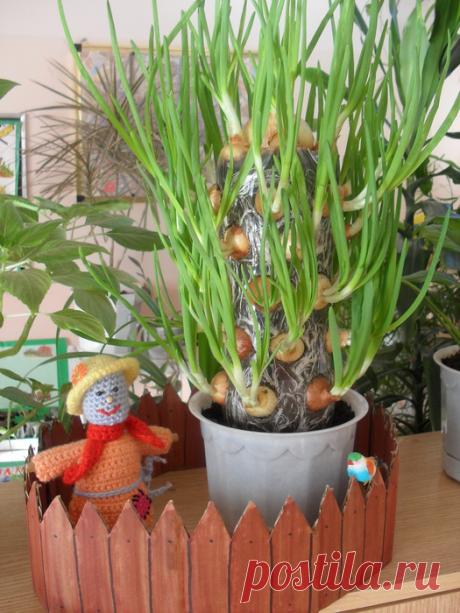 домоводство | Записи в рубрике домоводство | Дневник Ilonasan