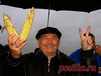 Лужков: экономика России антинародна и нежизнеспособна | Внешнеэкономические связи