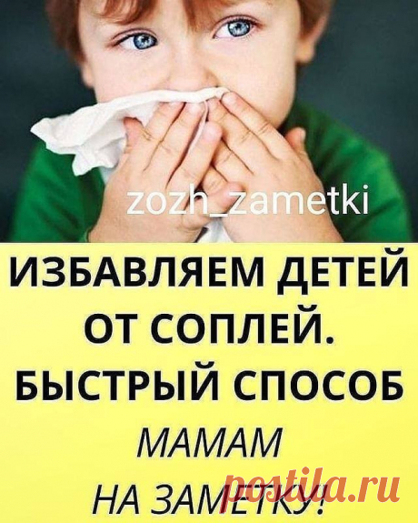 Рецепты Здоровья в Instagram: «Девочки и мальчики, у кого есть малыши. Рассказываю чудо-способ оперативного избавления чада от соплей и не только. С первых минут…»