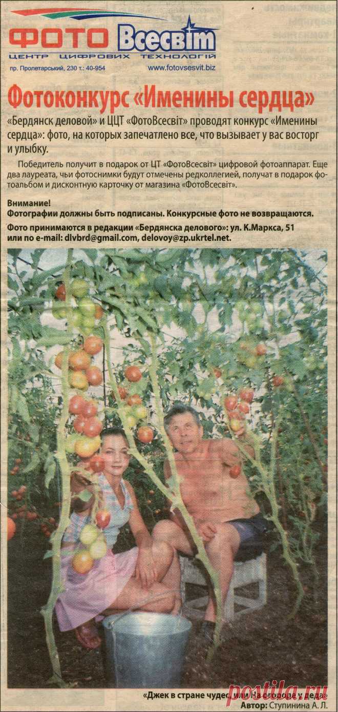 мои публикации