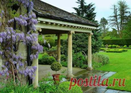 ГЛИЦИНИЯ УКРАСИЛА ПЕЙЗАЖ! | Самоцветик