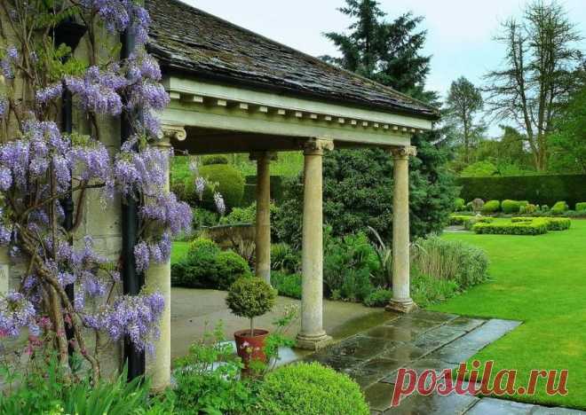 ГЛИЦИНИЯ УКРАСИЛА ПЕЙЗАЖ! | Самоцветик