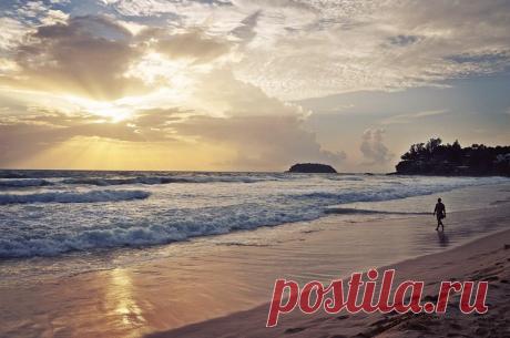 4 недели, которые полностью поменяют вашу жизнь - Otvetnavse.com