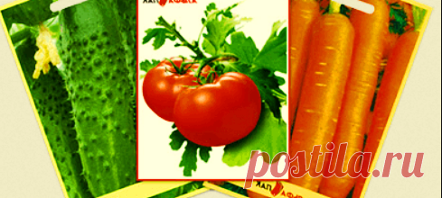 Закопать в сугроб в начале зимы - самый лучший способ для всхожести семян. Мой личный опыт, проверено! | Огородные дела | Яндекс Дзен