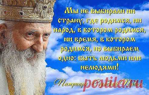 Жизненно.