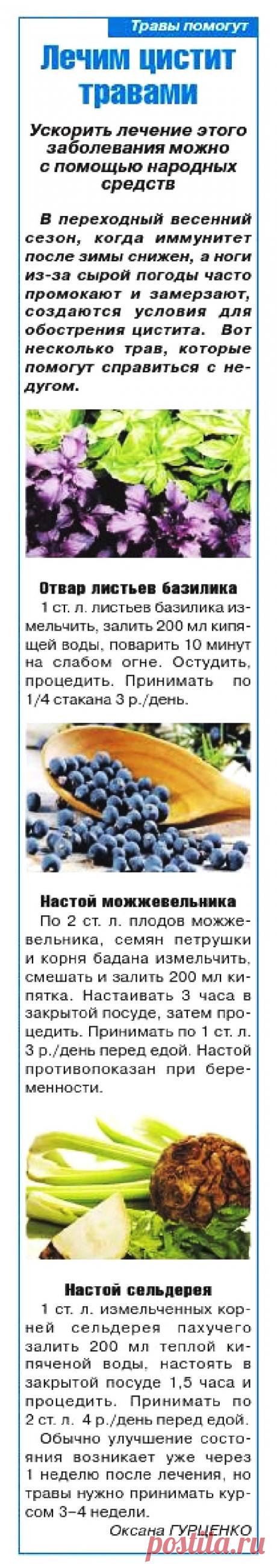 Лечим цистит травами
| японские узоры спицами