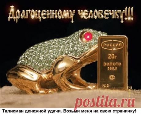 * * * * * * * * * * * *