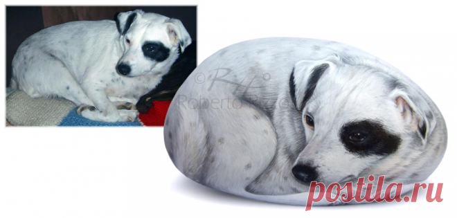 Cani Dipinti sui Sassi | Ritratto di Ariel | Rock painting art by Roberto Rizzo La cagnetta Ariel dipinta ad acrilico su su pietra | L'arte di dipingere i sassi di Roberto Rizzo.