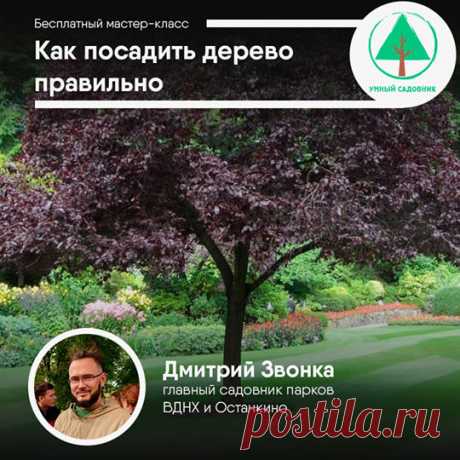 (32) Facebook