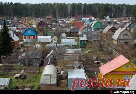 Верховный суд предложил взыскивать долги дачников в ускоренном порядке | Выживи сам