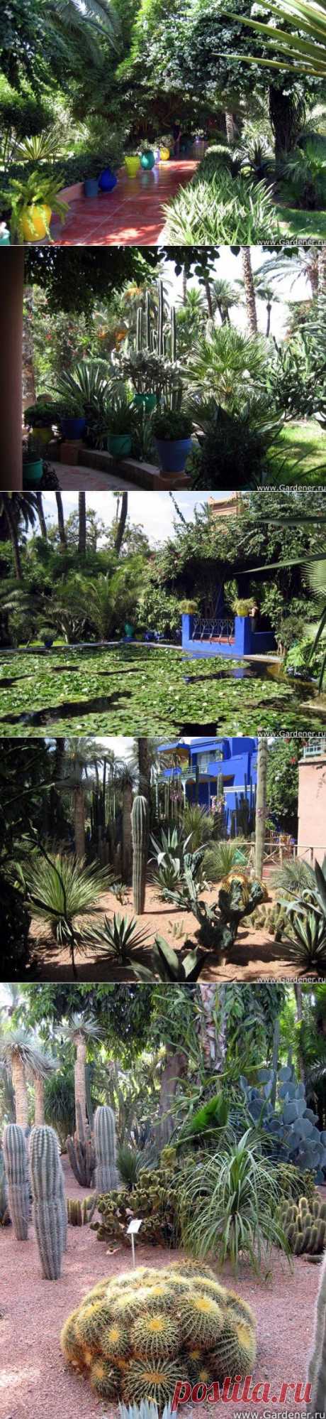 Удивительный Jardin Majorelle (сад Можераль) !