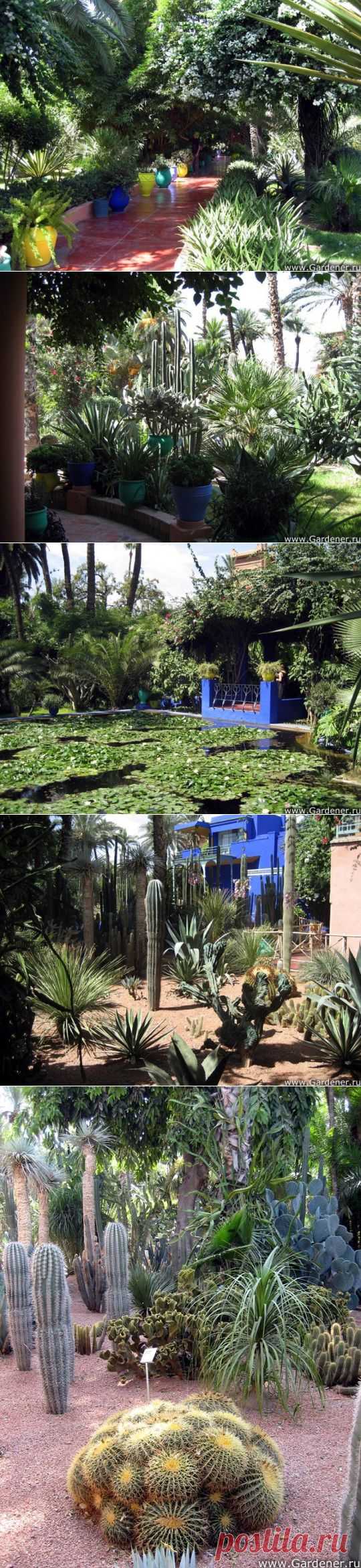 Удивительный Jardin Majorelle (сад Можераль) !