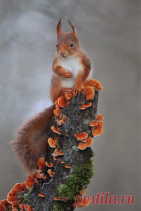 Ольга Туманова – Google+