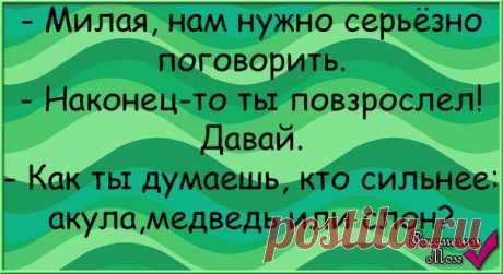 Анекдоты