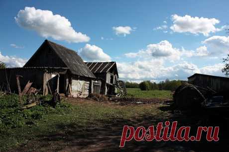Яндекс.Фотки