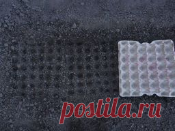 Используйте решётки из под яиц для посева. - Садоводка