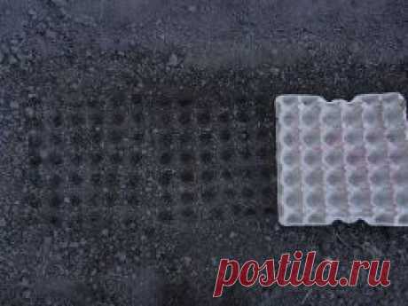 Используйте решётки из под яиц для посева. - Садоводка