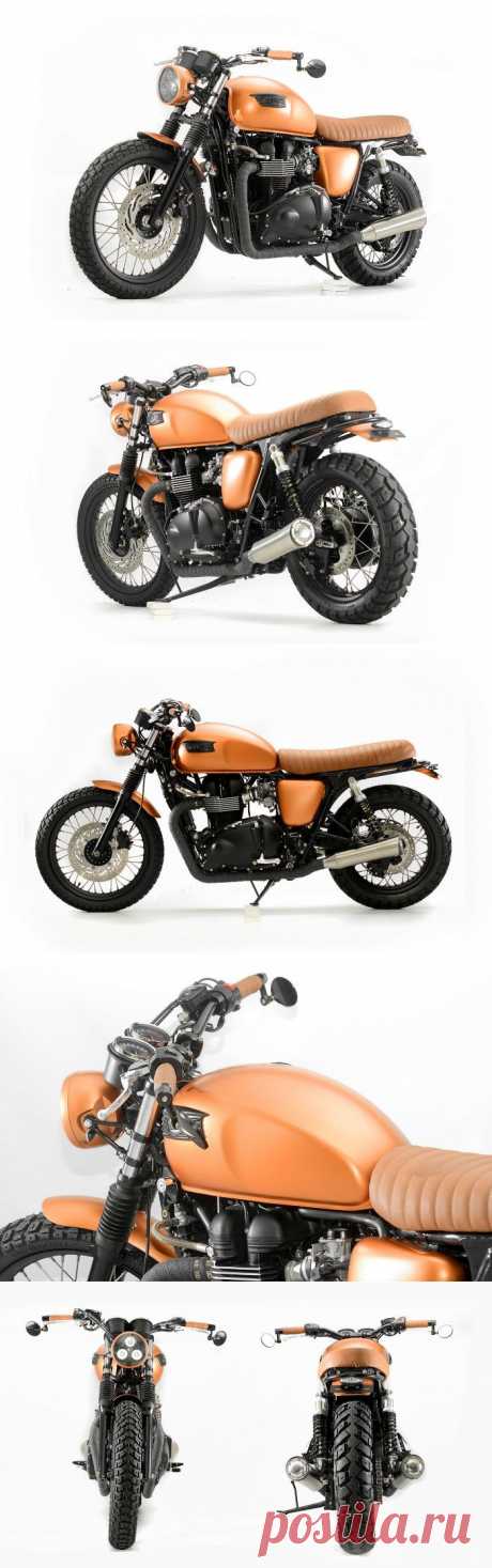 Кастом Triumph Bonneville T100