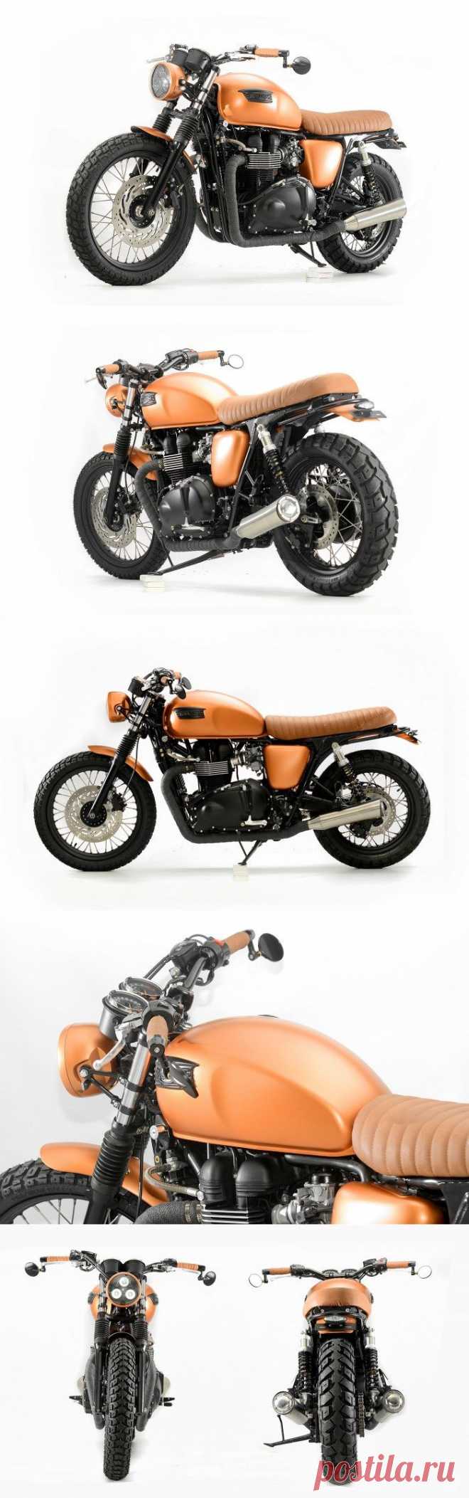 Кастом Triumph Bonneville T100