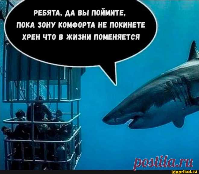 Мем-картинка 78NYNjoBA от Evgesha_ - ) / АйДаПрикол .)