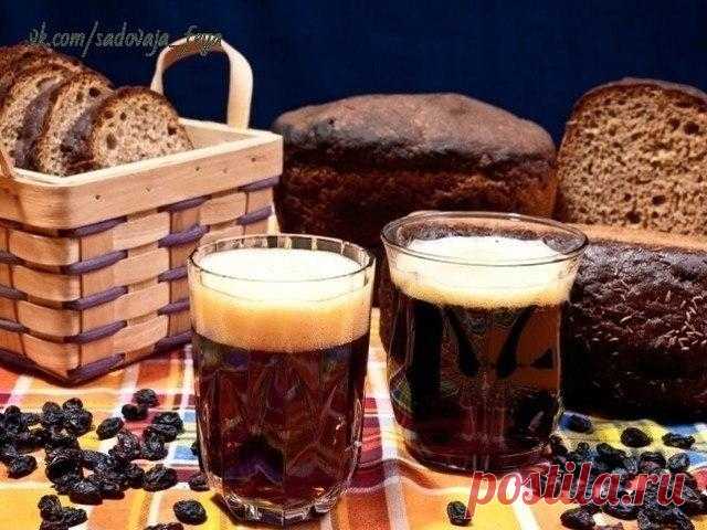 10 вкуснейших супер - рецептов домашнего кваса