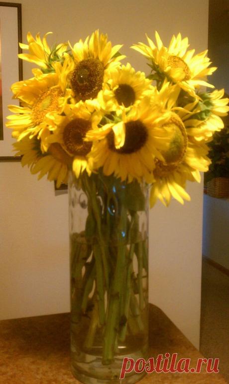 Загружено Пинером