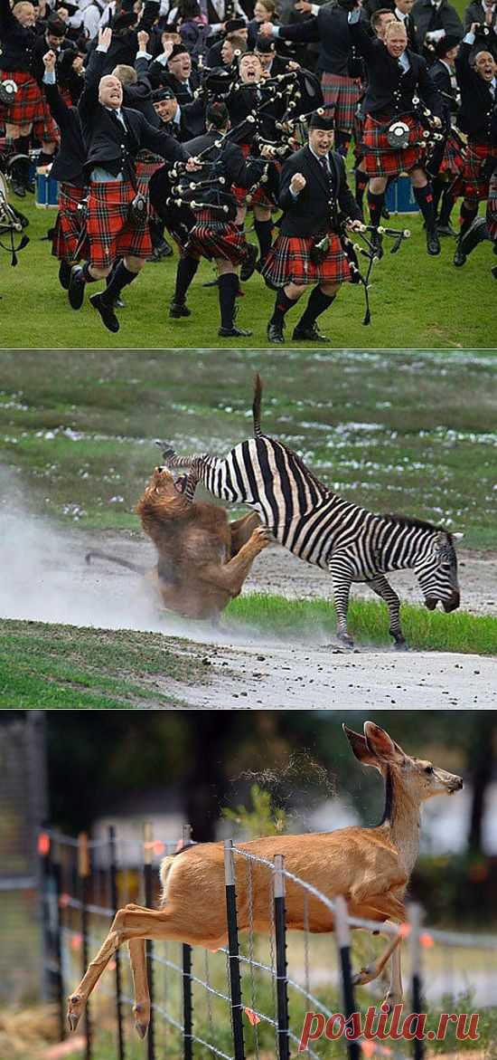 Life Is Full of Ups and Downs (20 Photos + 8 gifs) | FunCage