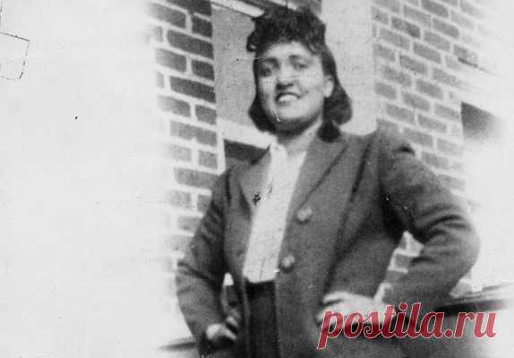Генриетта Лакс: умершая женщина, которая «живёт» уже 70 лет Американская домохозяйка Генриетта Лакс умерла в 1951 году. После смерти она стала чем-то вроде «Франкенштейна» – клетки тела негритянки продолжают жить самостоятельной жизнью на протяжении уже почти 70 лет.