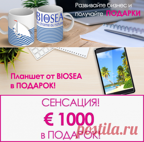 Это невероятно, но правда! &amp;#8212; Моя команда Biosea