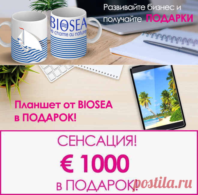 Это невероятно, но правда! &#8212; Моя команда Biosea