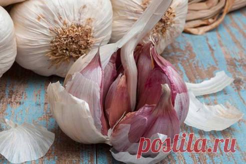 Зачем надо отваривать чесночную шелуху: ценнее продукта нет -