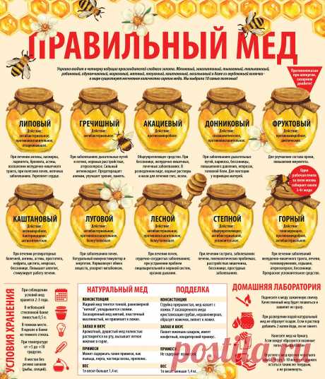 Правильный мёд