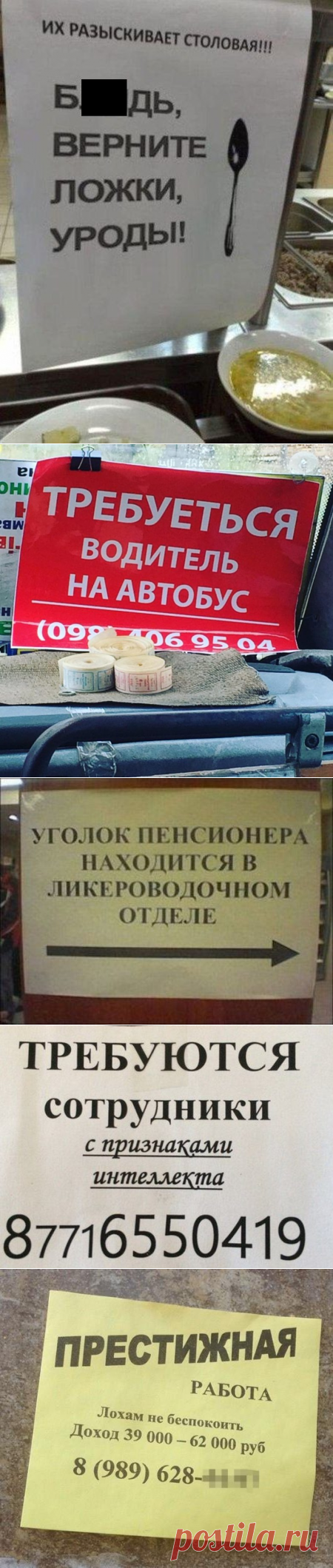 Вот как надо писать объявления. Учитесь! / Писец - приколы интернета
