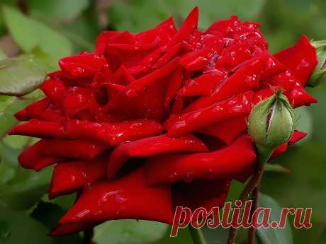0_96590_2527b8bd_orig (2220×1665)