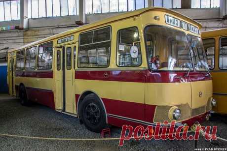 Ретроавтобусы "Москвоского транспорта". Часть 2. 1955 и позже. | Записки от Ивана | Яндекс Дзен